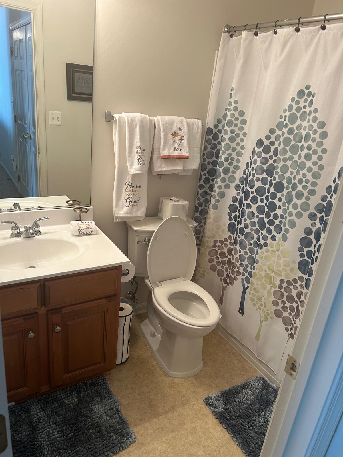 Fully cleaned bathroom with polished vanity and tidy towels