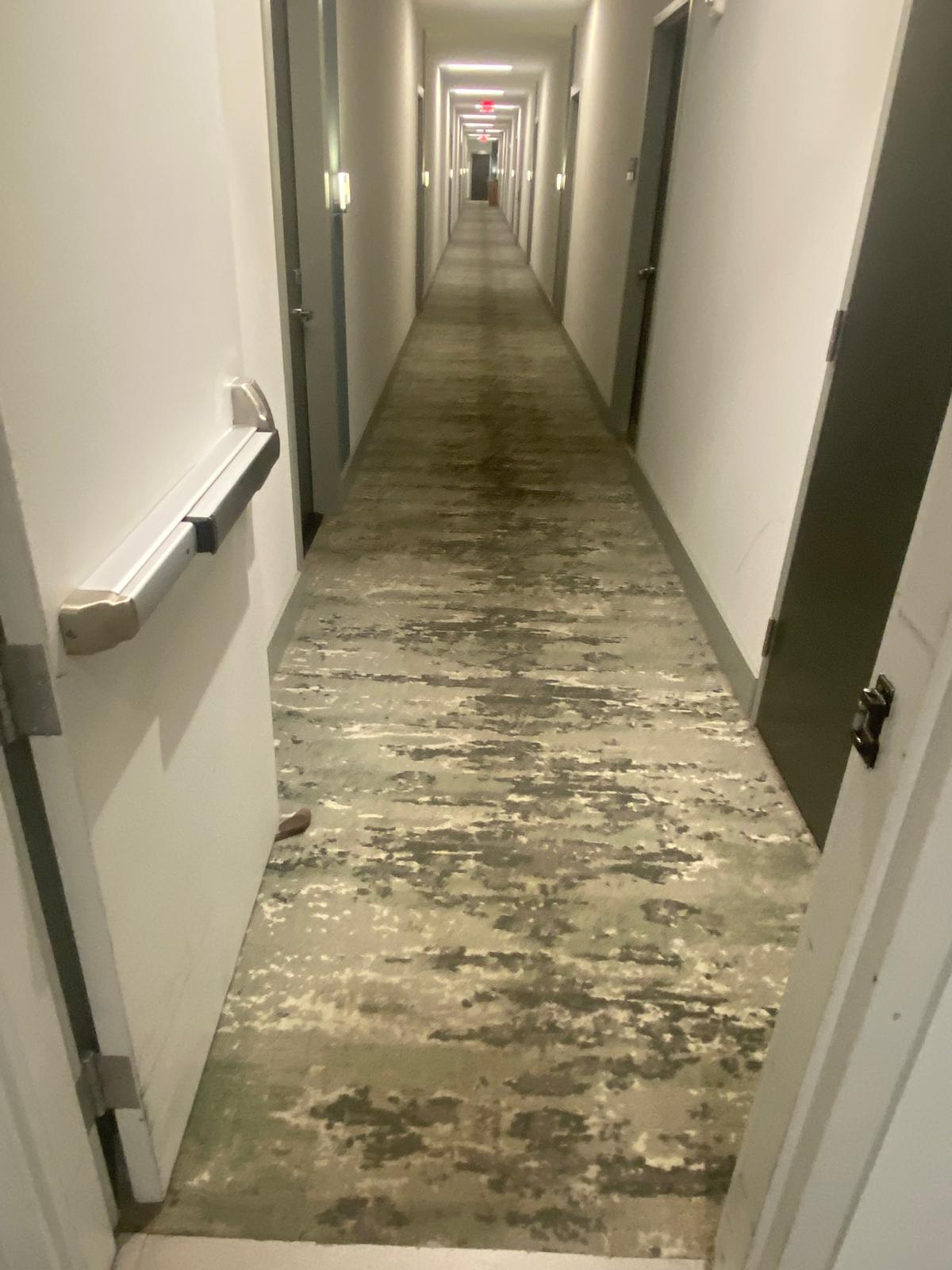 Long hotel corridor carpet after commercial cleaning