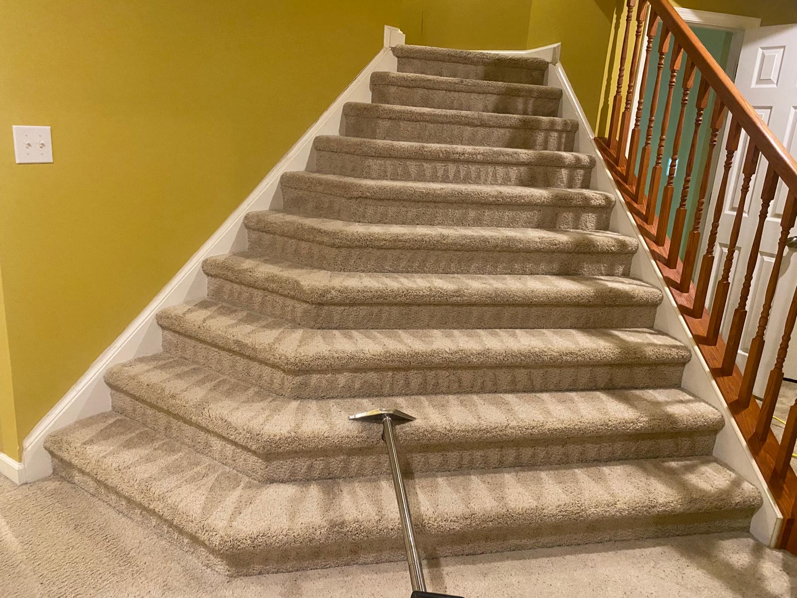 Freshly steam-cleaned carpeted stairs with visible vacuum lines